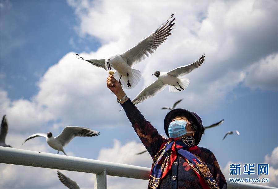 ???? ?????? ???? ?????? ?? ??????? 