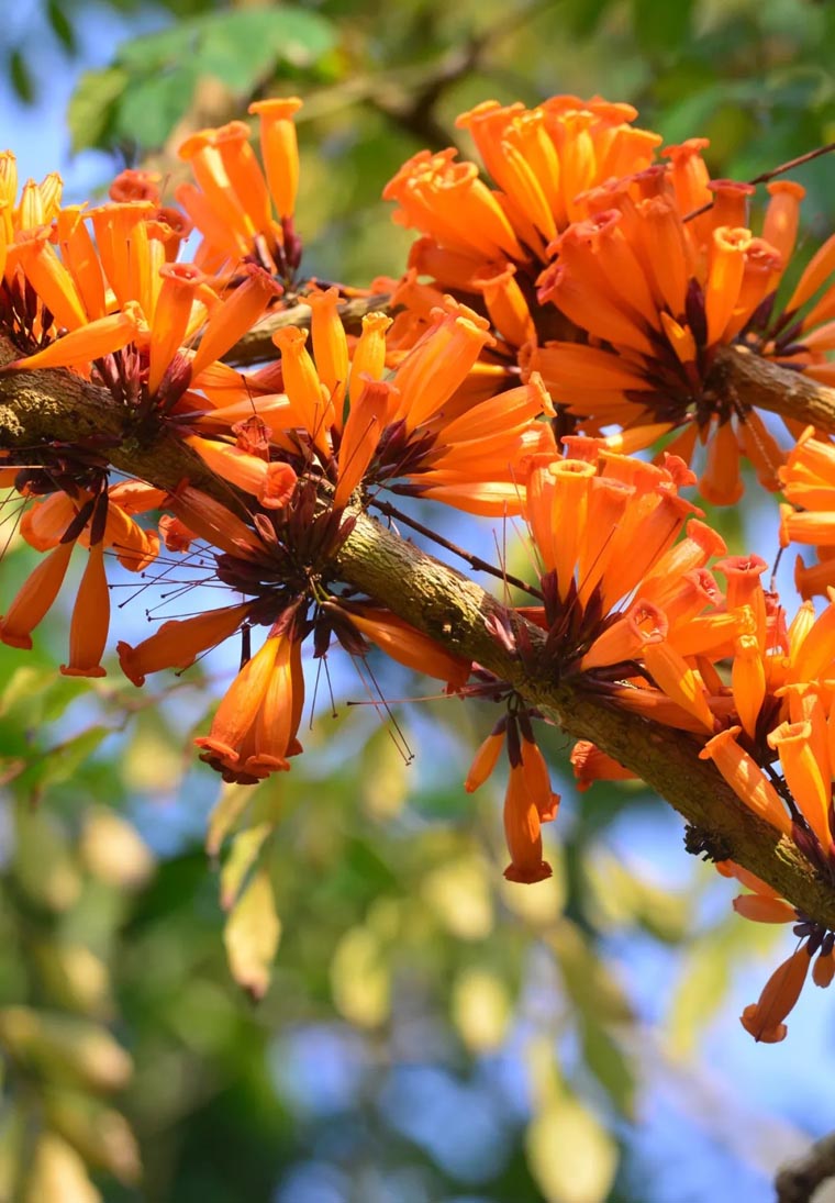 ???? ?? ???? ??????? ???????? ?? ???? ????? ?????