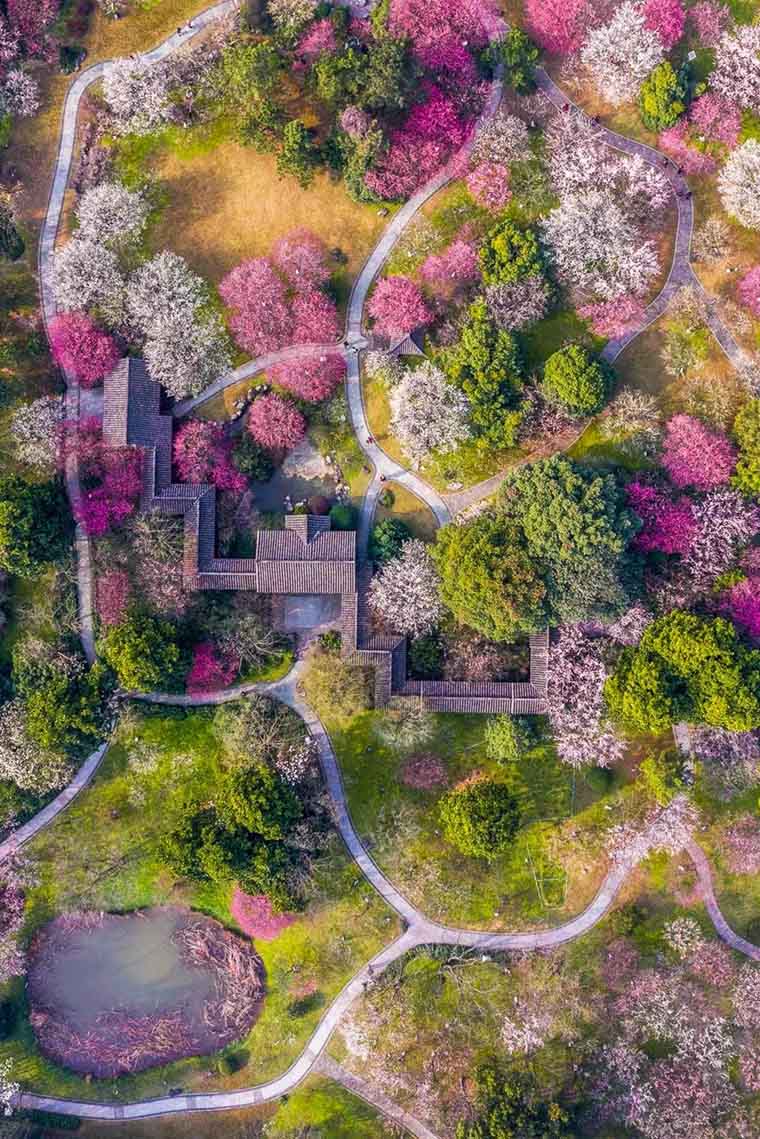 ???? ?? ???? ??????? ???????? ?? ???? ????? ?????