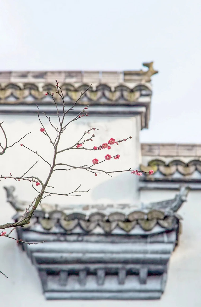 ???? ?? ???? ??????? ???????? ?? ???? ????? ?????