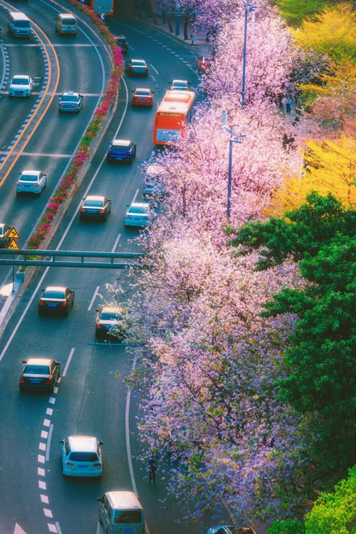 ???? ?? ???? ??????? ???????? ?? ???? ????? ?????