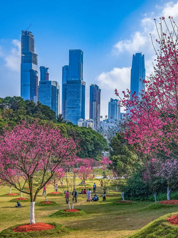 ???? ?? ???? ??????? ???????? ?? ???? ????? ?????