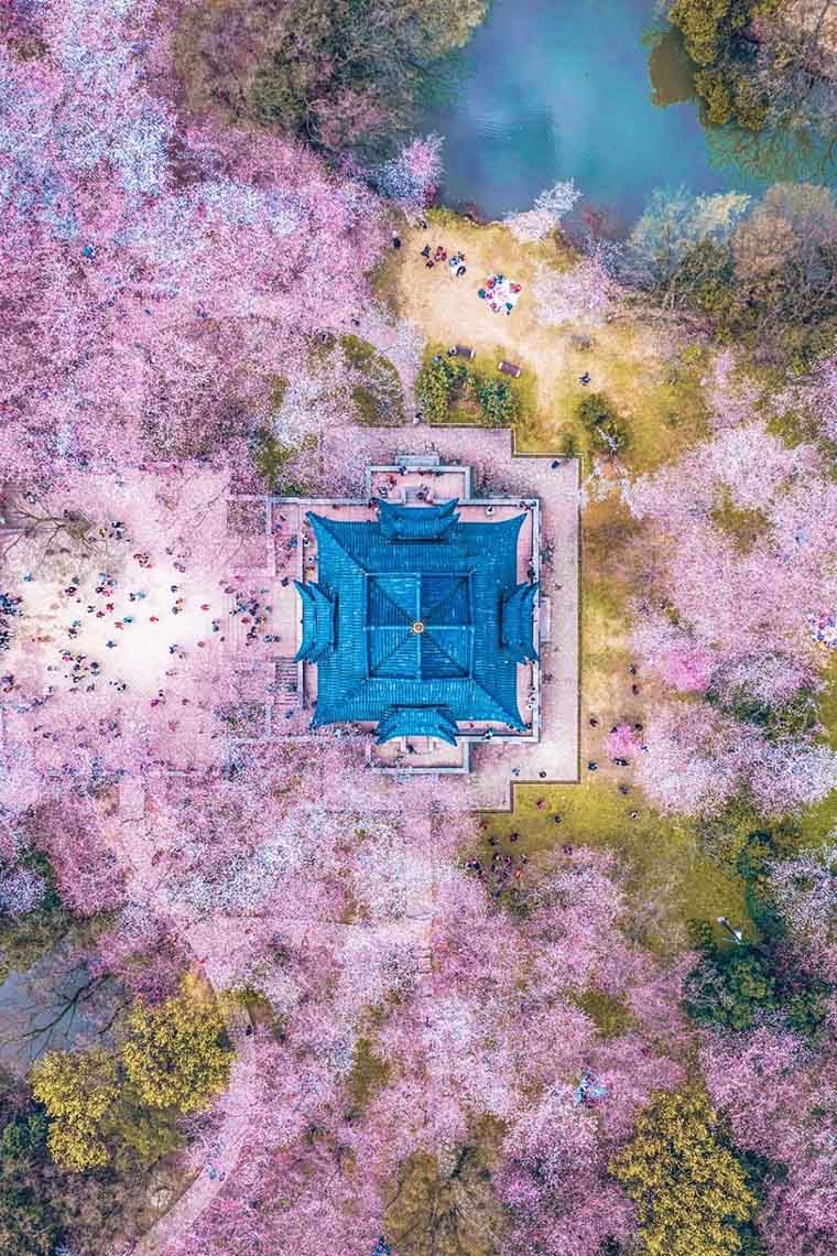 ???? ?? ???? ??????? ???????? ?? ???? ????? ?????