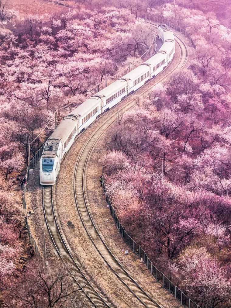 ???? ?? ???? ??????? ???????? ?? ???? ????? ?????