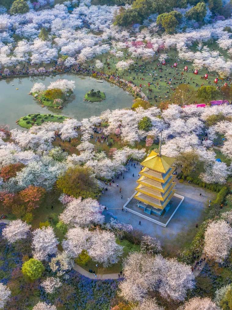 ???? ?? ???? ??????? ???????? ?? ???? ????? ?????