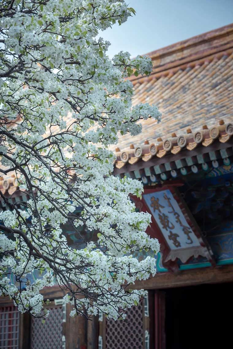 ???? ?? ???? ??????? ???????? ?? ???? ????? ?????