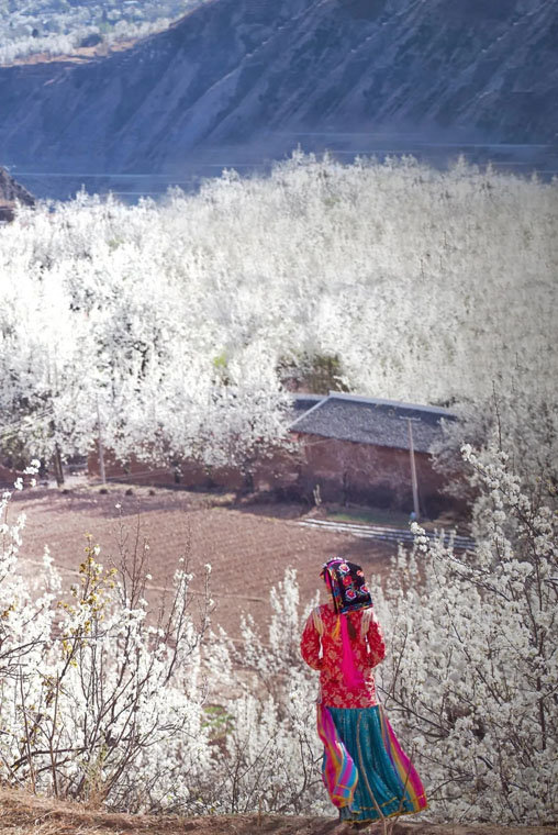 ???? ?? ???? ??????? ???????? ?? ???? ????? ?????