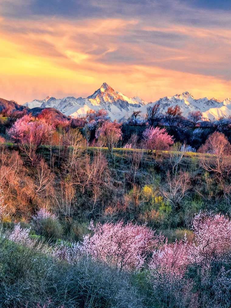 ???? ?? ???? ??????? ???????? ?? ???? ????? ?????