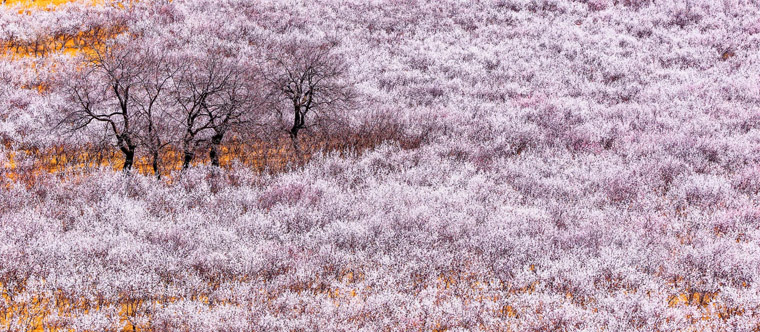 ???? ?? ???? ??????? ???????? ?? ???? ????? ?????