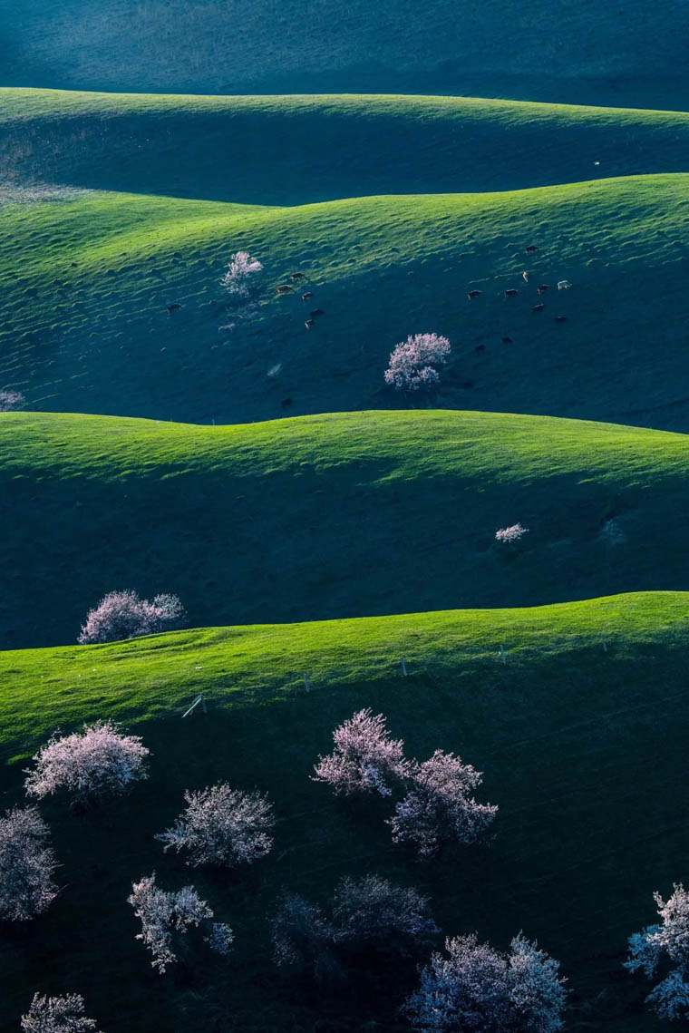 ???? ?? ???? ??????? ???????? ?? ???? ????? ?????