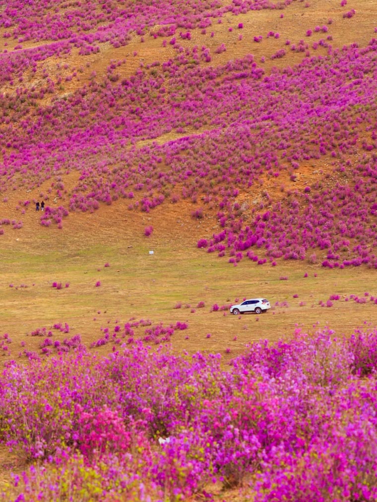 ???? ?? ???? ??????? ???????? ?? ???? ????? ?????