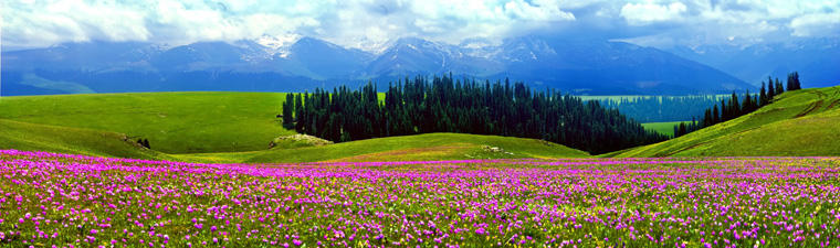 ???? ?? ???? ??????? ???????? ?? ???? ????? ?????