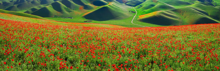 ???? ?? ???? ??????? ???????? ?? ???? ????? ?????