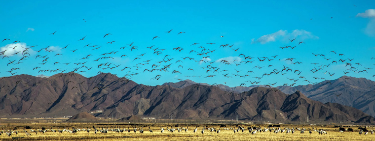 ???? ?? ???? ??????? ???????? ?? ???? ????? ?????