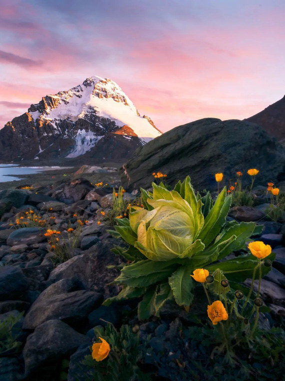 ???? ?? ???? ??????? ???????? ?? ???? ????? ?????