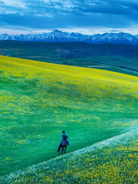 ???? ?? ???? ??????? ???????? ?? ???? ????? ?????