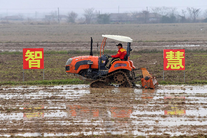 ???? ????? ?? ?????: ????? ?? ??????? ????? ???? ???? ???? ???? ???? ??????? ???????