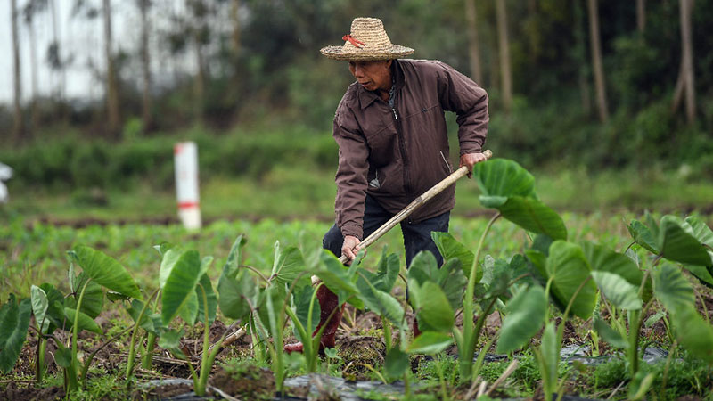 ???? ????? ?? ?????: ????? ?? ??????? ????? ???? ???? ???? ???? ???? ??????? ???????