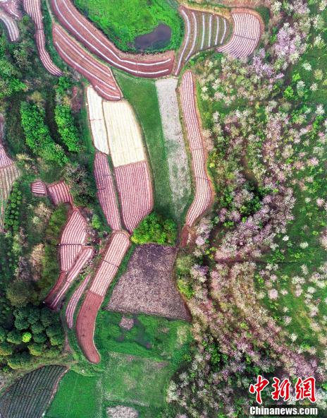 ????? ??????? ???? ???? ???????? ????? ?????