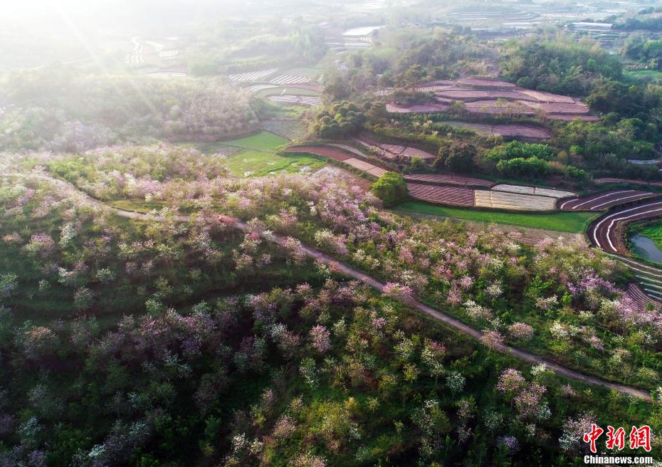 ????? ??????? ???? ???? ???????? ????? ?????