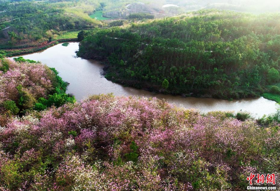 ????? ??????? ???? ???? ???????? ????? ?????