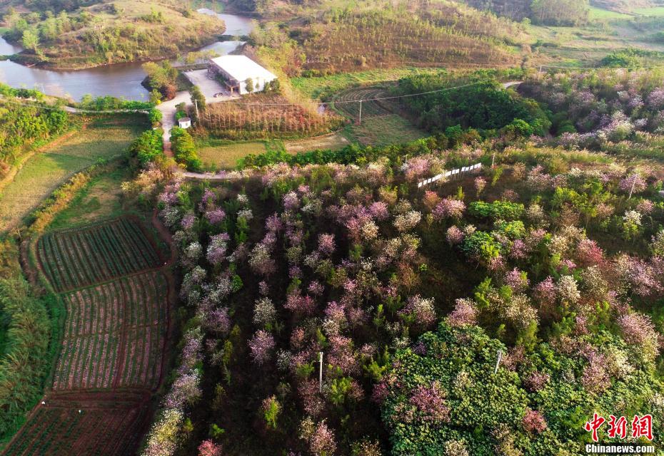 ????? ??????? ???? ???? ???????? ????? ?????