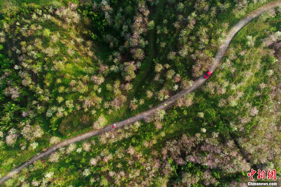 ????? ??????? ???? ???? ???????? ????? ?????