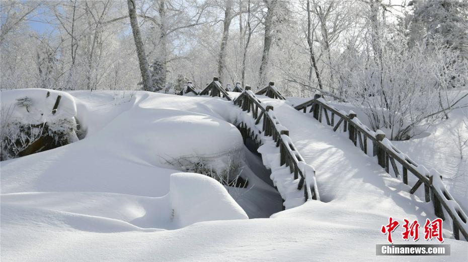 ??? ?????.. ???? ????? ??? 