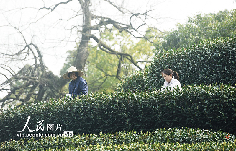 ??? ??? ????? ?????? ??????? 