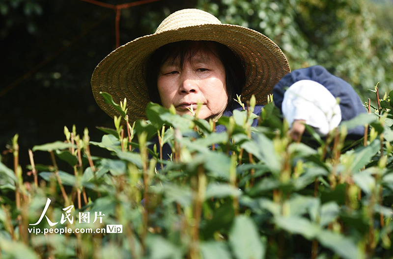 ??? ??? ????? ?????? ??????? 