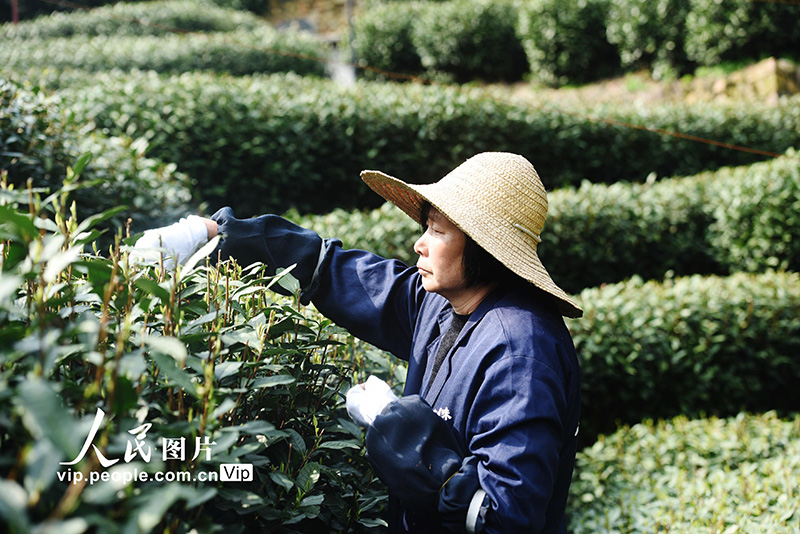 ??? ??? ????? ?????? ??????? 