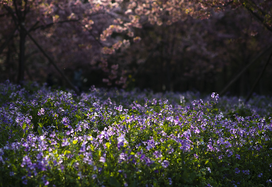 ???? ?????? ?? ????? ????? ???????? ????? ??????