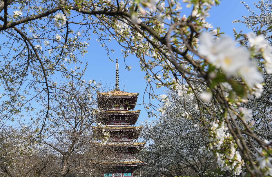 ???? ?????? ?? ????? ????? ???????? ????? ??????