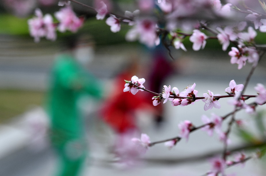 ??? ????? ??????? ???? ?? ?????? ??????? ???? ???? ?????