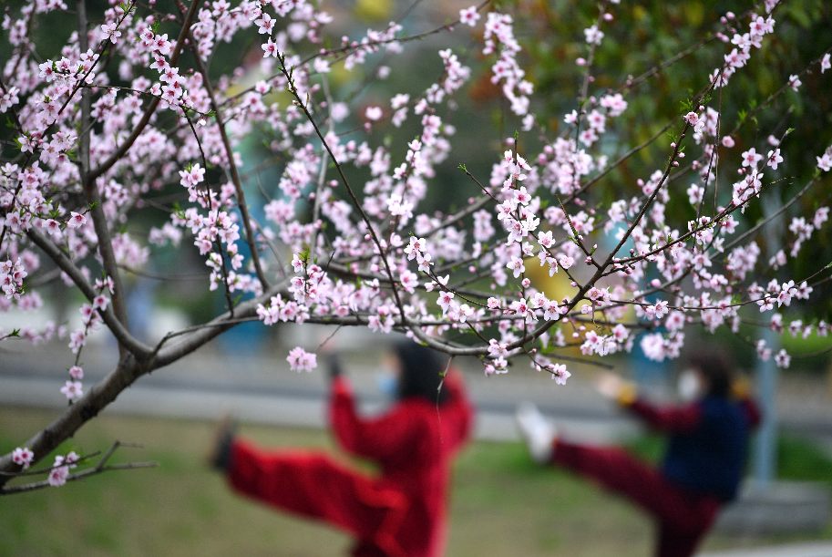 ??? ????? ??????? ???? ?? ?????? ??????? ???? ???? ?????