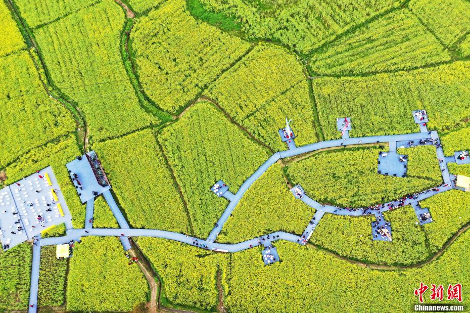 ??? ?????? ???? ??? ?????? ?? ???? ???? ??????