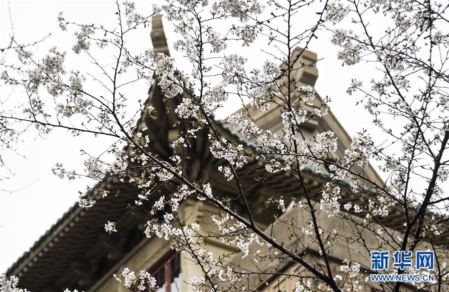 ?? ???? ????? ?? ????? ?????