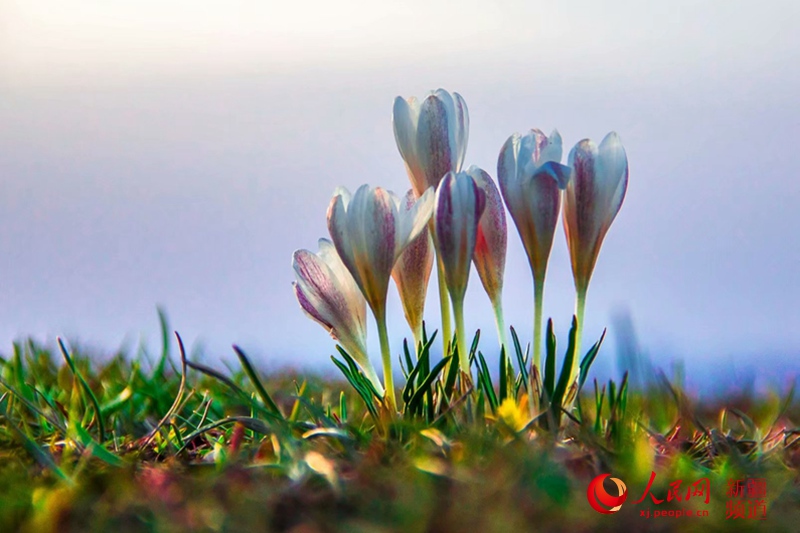 ???? ???? ?????? ?? ?????? ?? 