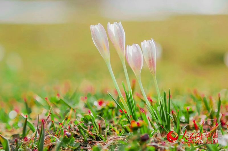 ???? ???? ?????? ?? ?????? ?? 