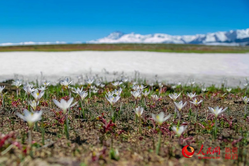 ???? ???? ?????? ?? ?????? ?? 