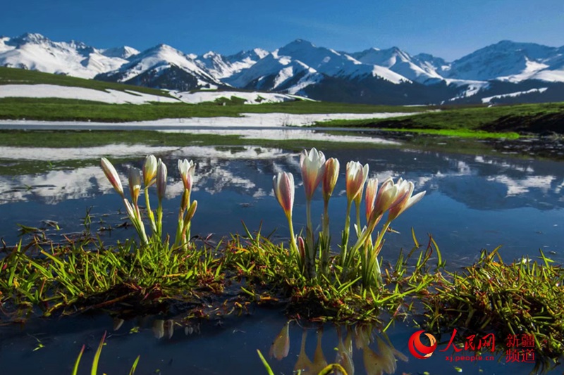 ???? ???? ?????? ?? ?????? ?? 