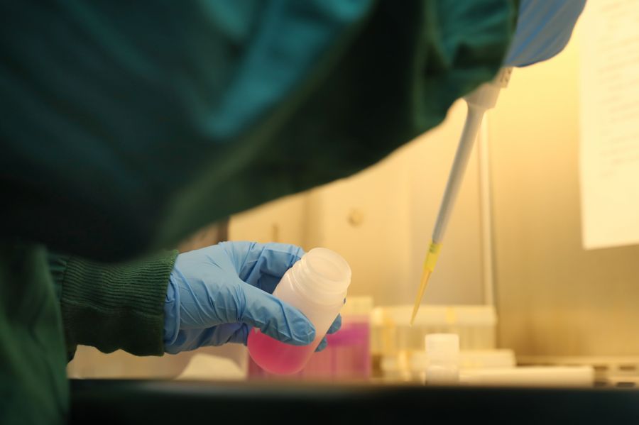 ????: ????? ????? ??? 20 ???? ?? ??????? ?????? ?????-19