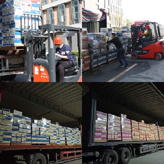 ???? ???????? ???????? ??? ????? ?????..?????? ???????: ??? ?????? ?????? ?????? ??? ????? ???????? ??????? ???????