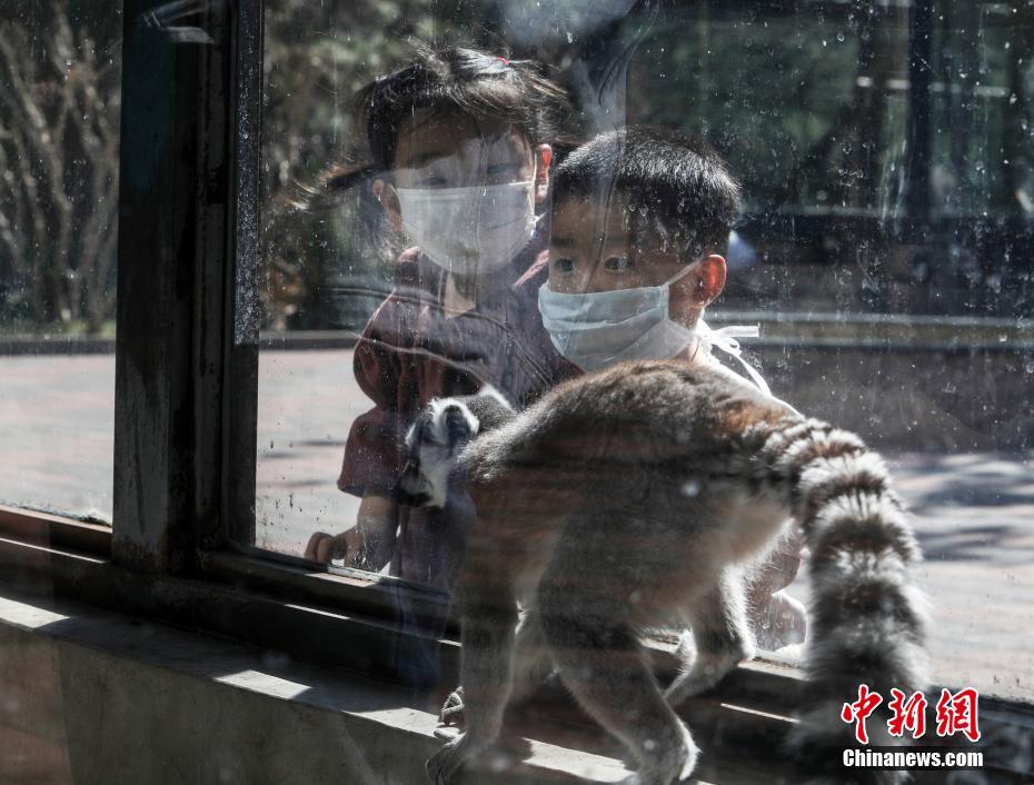 ?????  ??????? ?????  ???? ??? ??????? ??? 58 ????