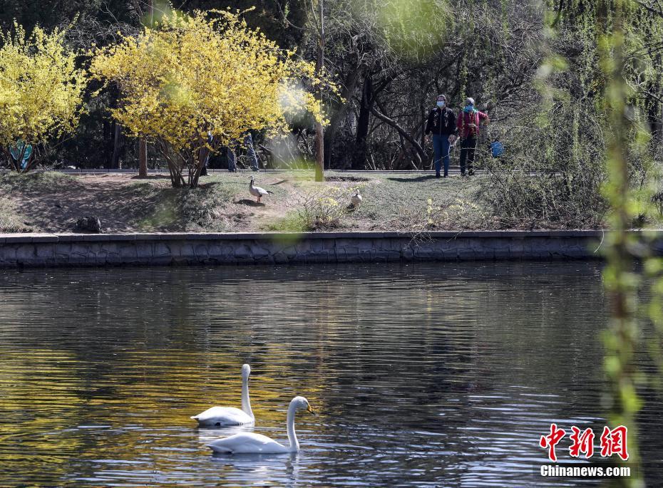 ?????  ??????? ?????  ???? ??? ??????? ??? 58 ????