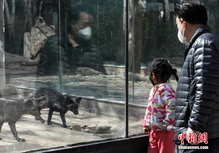 ?????  ??????? ?????  ???? ??? ??????? ??? 58 ????