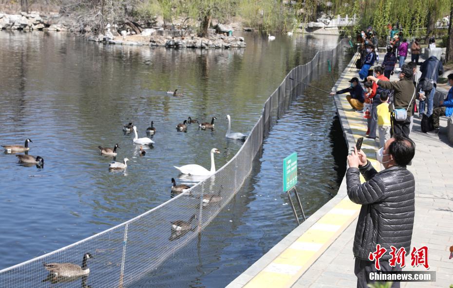 ?????  ??????? ?????  ???? ??? ??????? ??? 58 ????