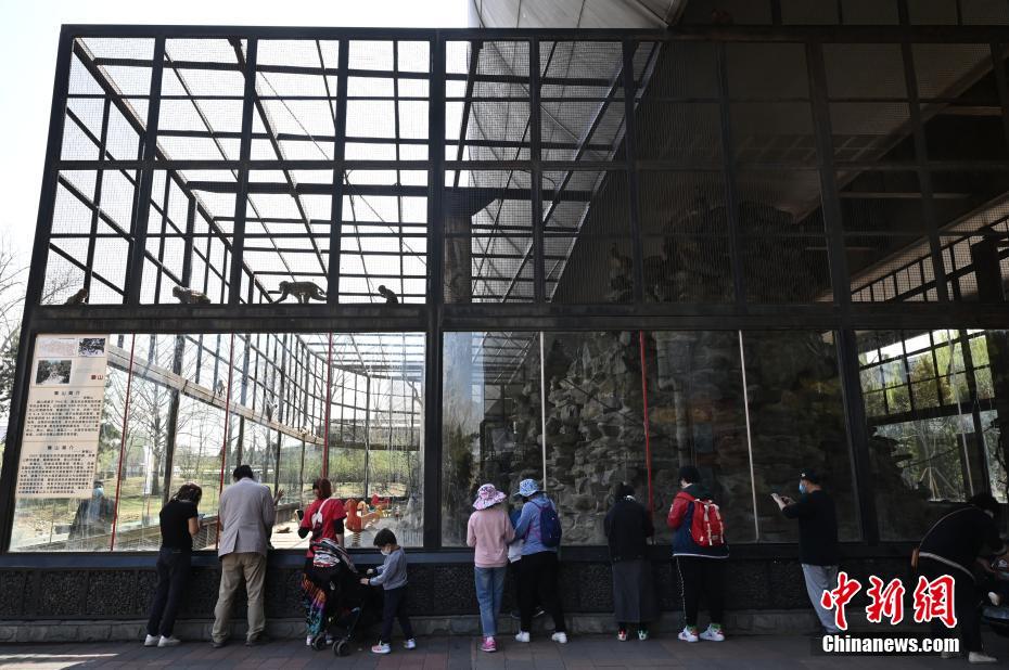 ?????  ??????? ?????  ???? ??? ??????? ??? 58 ????