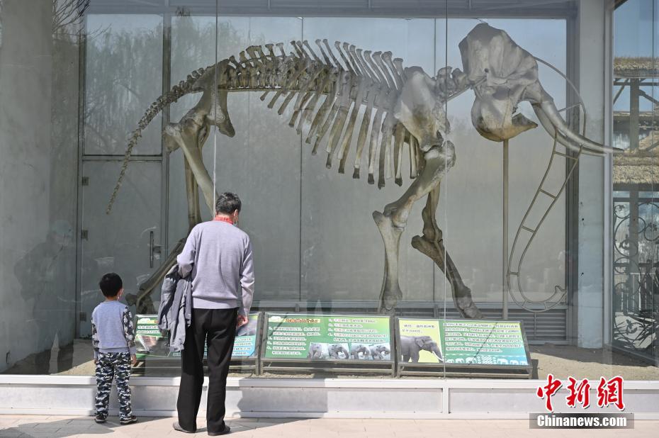 ?????  ??????? ?????  ???? ??? ??????? ??? 58 ????