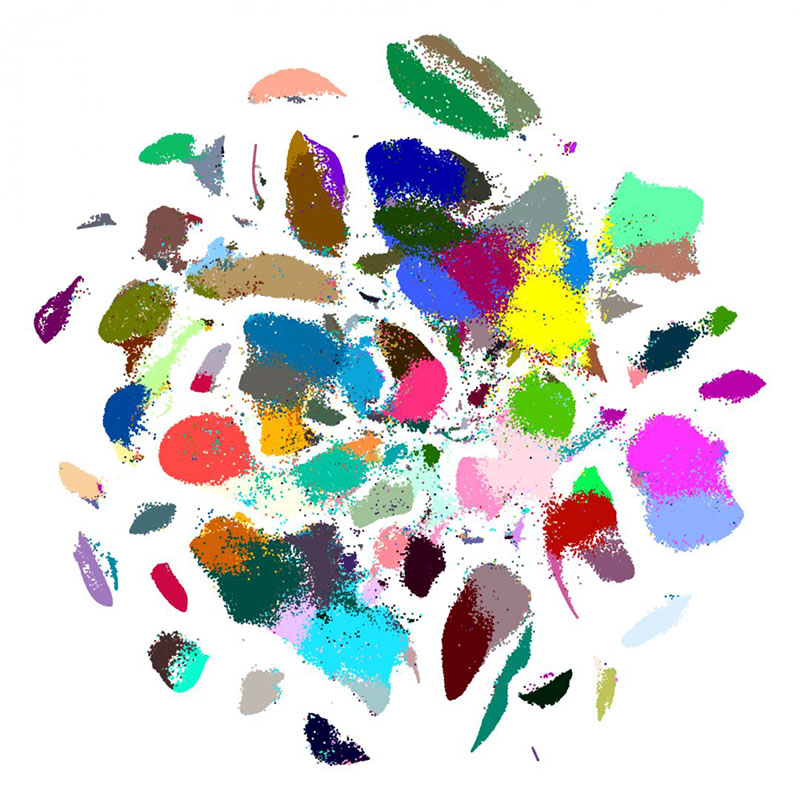 ???????? ???????? ?????? ?? ???? ????? ??????? ??????? ??? ????? ?????? ???????